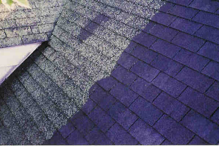 Asphalt Roof Cleaning Services